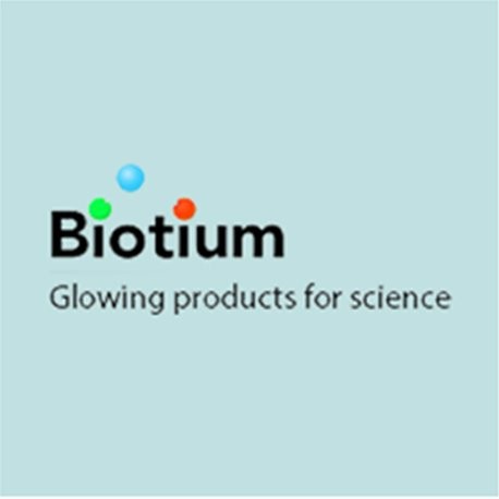 Spectrin beta III (SPTBN2) (SPTBN2/1247), Biotin conjugate, 0.1mg/mL 100 uL