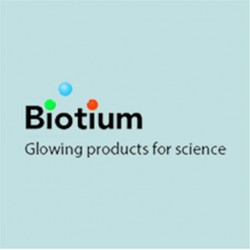 Tubulin beta 3 / TUBB3 (Neuronal & Stem Cell Marker)(TUBB3/3732), Biotin conjugate, 0.1mg/mL 100 uL