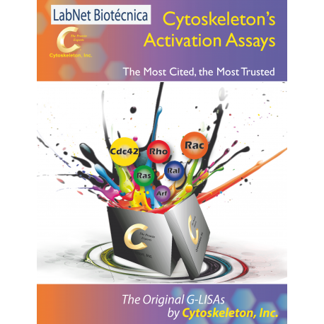 Cytoskeleton’s Activation Assays