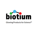 Human Kappa Light Chain / IGKC (B-Cell Marker) (rKLC709), CF640R conjugate, 0.1mg/mL