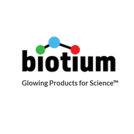 AKT1 (Prognostic Marker for Neuroendocrine Tumors)(AKT1/2784), Biotin conjugate, 0.1mg/mL